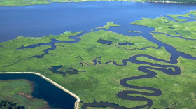 Chesapeake Bay