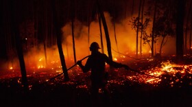A firefighter from the National Republican Guard GIPS works on a fire in a forest after a wildfire took dozens of lives on June 19, 2017 near Pedrogao Grande, in Leiria district, Portugal. (Pablo Blazquez Dominguez/Getty Images)