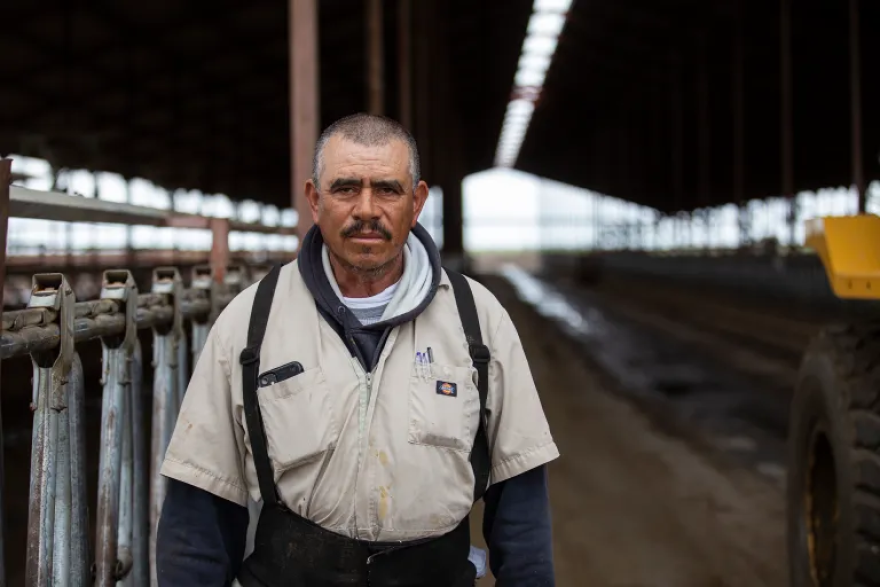 A dairy worker standing between empty cow stalls.