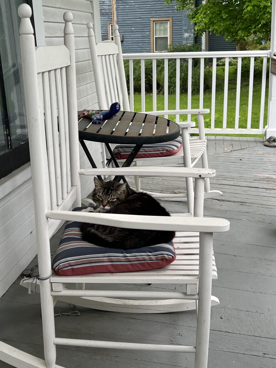 Μια φωτογραφία μιας γάτας που κάθεται σε ένα μαξιλάρι σε μια λευκή κουνιστή καρέκλα σε μια βεράντα.