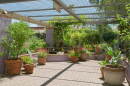 AZILL Botanical Garden 50th
