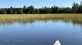 Island Lake is one of various lakes open for wild rice harvesting