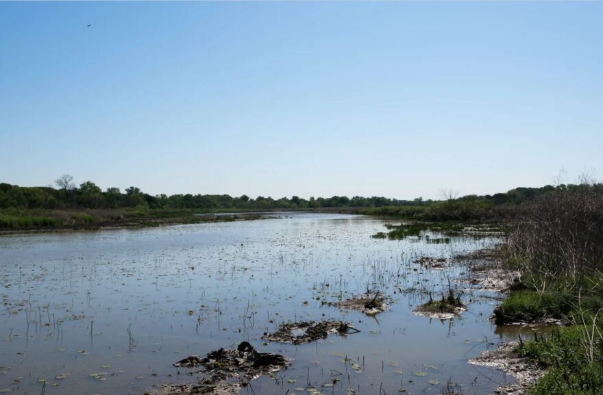 Lake Worth is seen south of the Marty Leonard Lotus Marsh Boardwalk on April 22, 2024, at the Fort Worth Nature Center & Refuge.