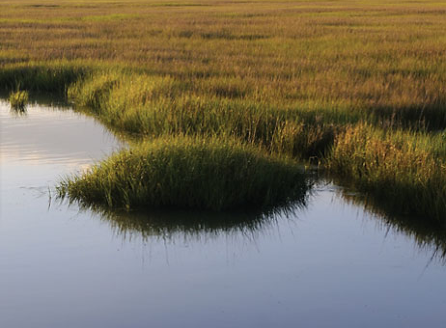 chesapeake bay cbf.png