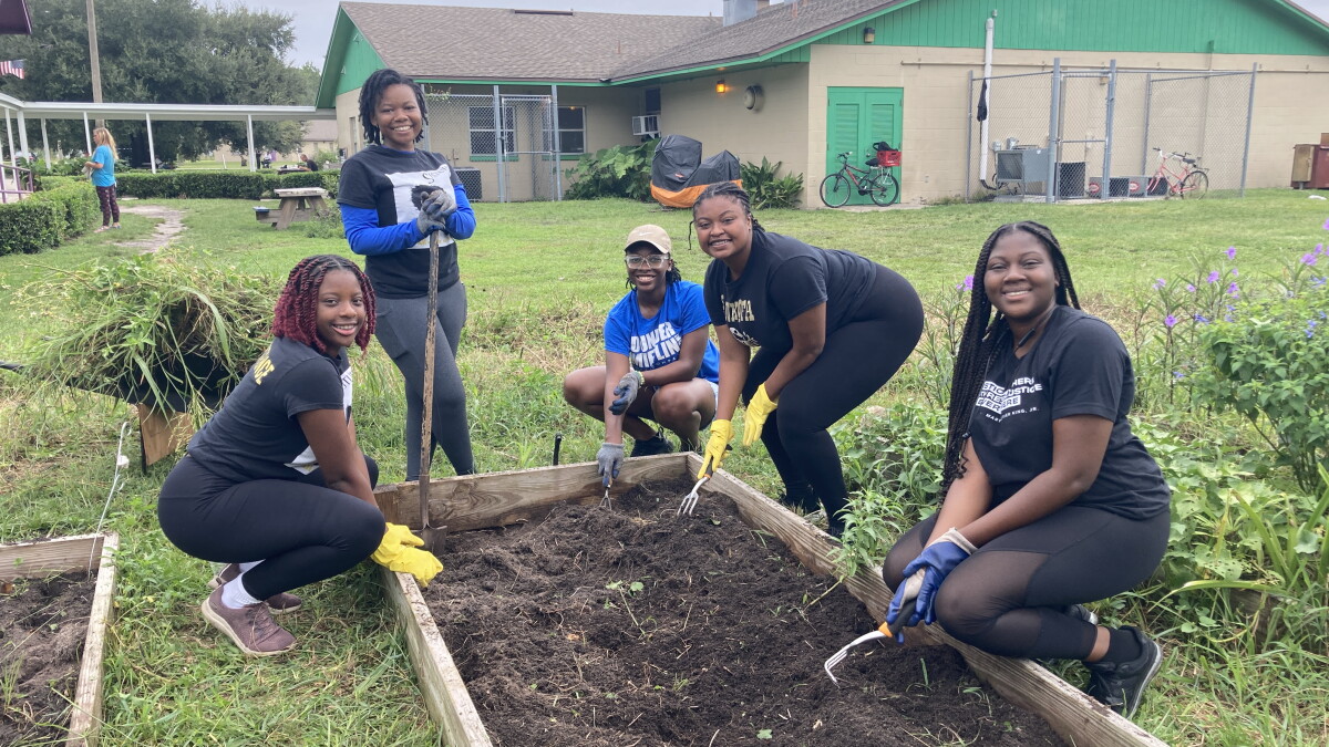 Row by row, Grace Grows is trying to create a better version of southeast Gainesville - Vimarsana News