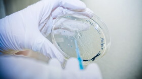 biotech file photo