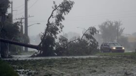 A car drives past a downed tree as Hurricane Matthew moves through Daytona Beach, Fla. Friday, Oct. 7, 2016. Matthew was downgraded to a Category 3 hurricane overnight, and its storm center hung just offshore as it moved up the Florida coastline, sparing communities its full 120 mph winds. (AP Photo/Charlie Riedel)