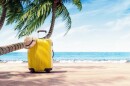 beach scene with a yellow suitcase in the stand and a beach hat hanging off a corner of the suitcase . the suitcase is under a palm tree