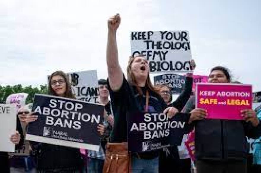 Abortion rights advocates