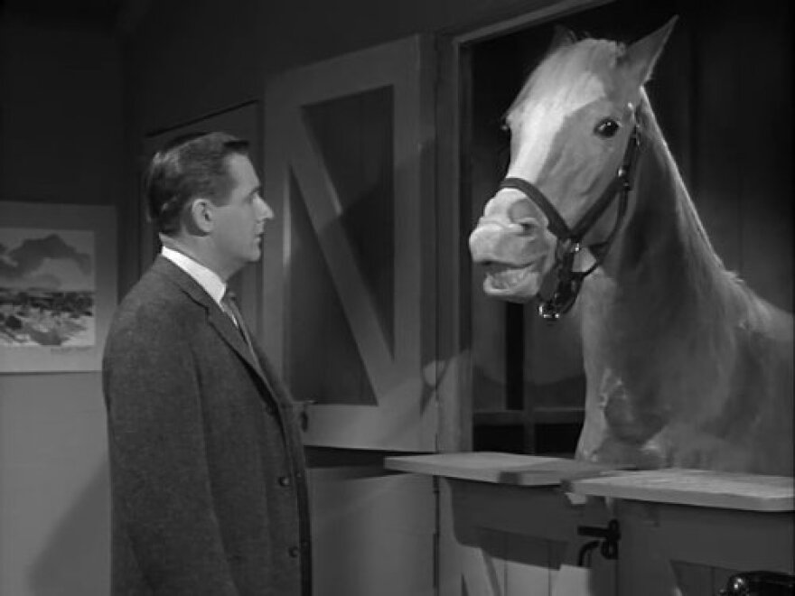 How Curious Is Mister Ed Buried In Oklahoma? KGOU