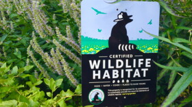 The National Wildlife Federation offers certification to Community Wildlife Habitats 