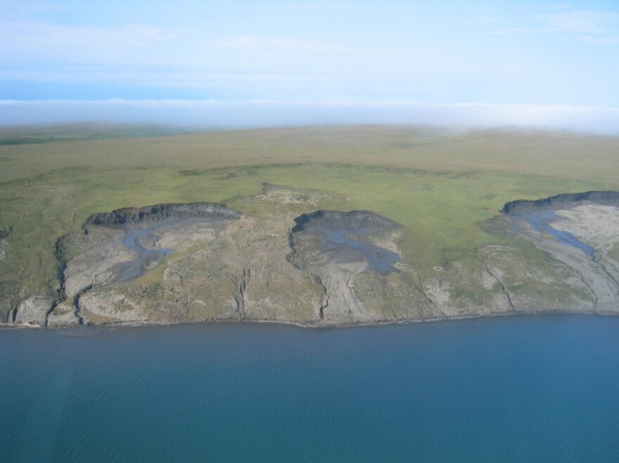 Large slumps of coastal land are caused by the thawing and erosion of ice-rich permafrost. As a result, large quantities of sediment are introduced into the coastal ecosystem, which alters the food web.