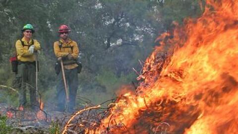 BLM Firefighters monitoring a prescribed burn