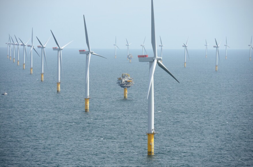 Three rows of wind turbines emerging from the water.