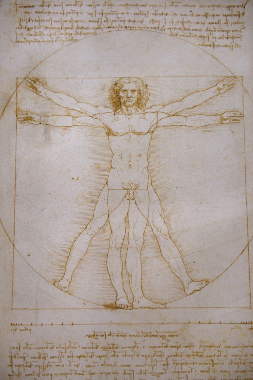One of Leonardo da Vinci's most famous drawings, "Vitruvian Man," is rarely displayed due to its fragility. It is part of the Louvre exhibition, following an unsuccessful, last-minute attempt to stop its transport from Italy to Paris.