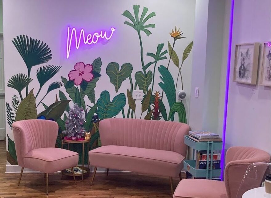 A seating area a Espurresso Cat Cafe, with pink sofa and chairs and a mural of foliage and flowers with a pink neon sign that says "meow".
