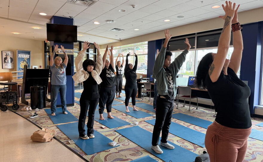 People stand reaching to the sky while lined up on blue yoga mats doing yoga poses. 