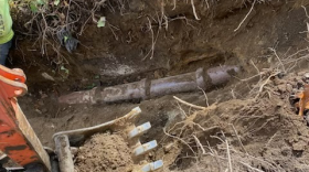 An exposed section of a sewer connection that that city said was affected by a rootball.