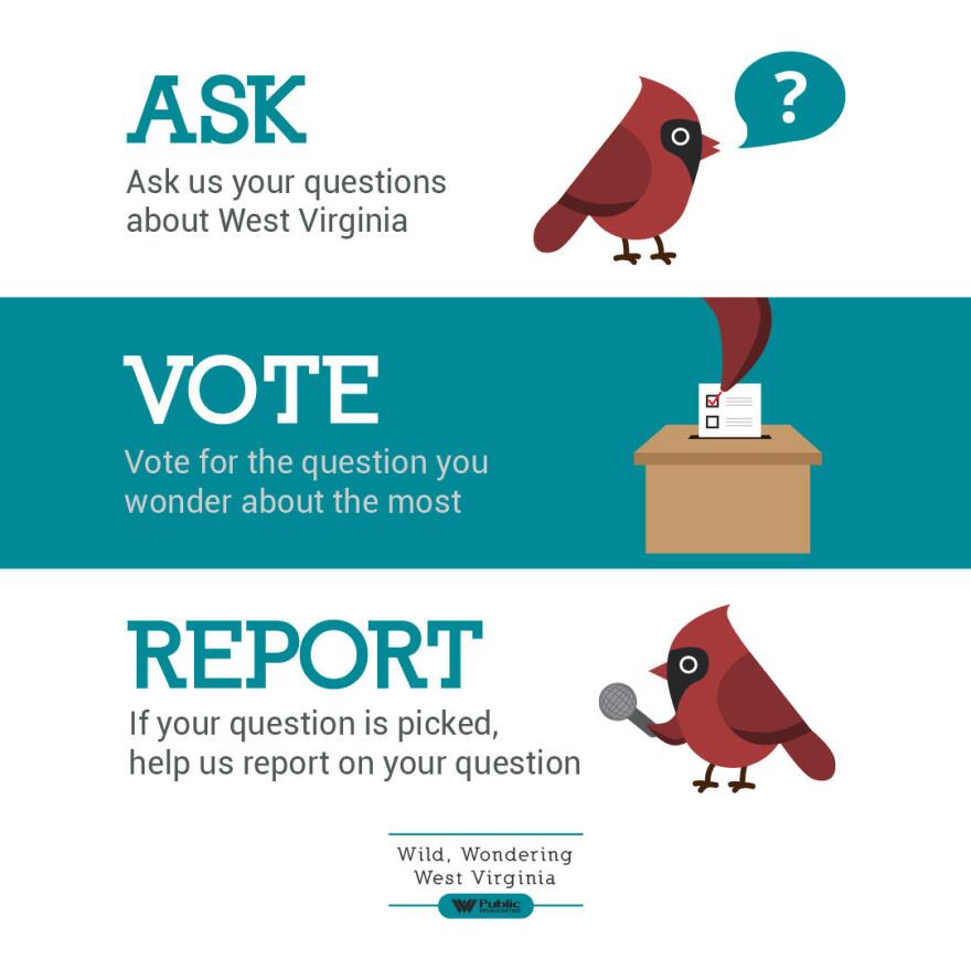 Wild, Wondering West Virginia Process