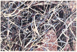 Gumpper grass.jpg