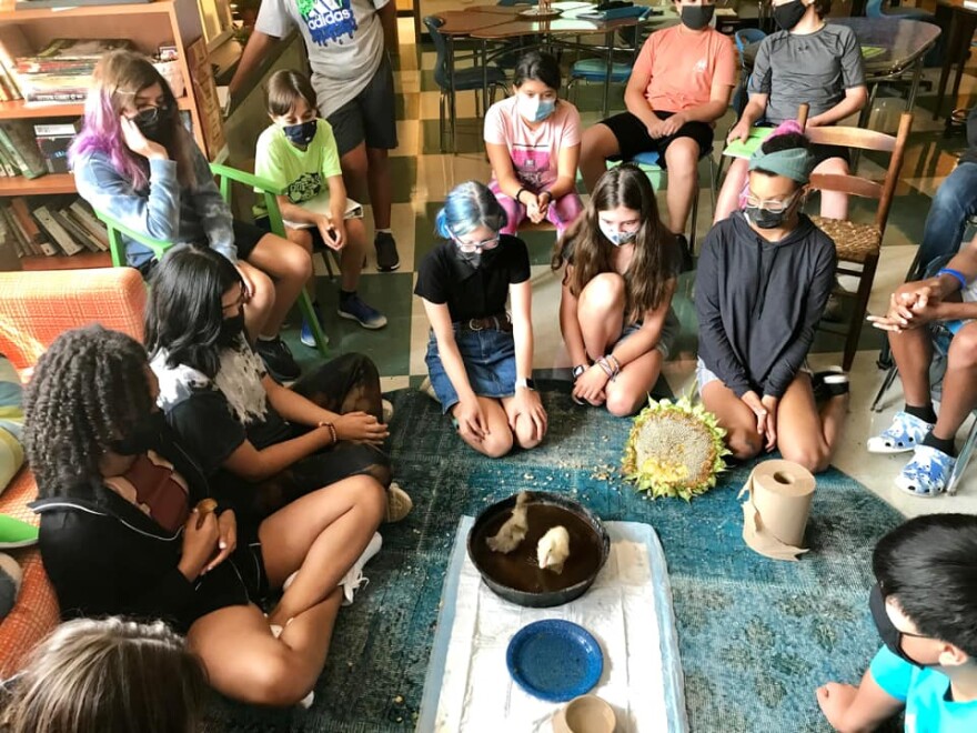 Students in Katherine Pair's agriculture class at Williams Montessori watch ducklings that arrived at the start of the school year (one didn't live long).