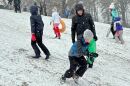 People sledding at Charlotte's Veterans Park on Jan. 31, 2026.