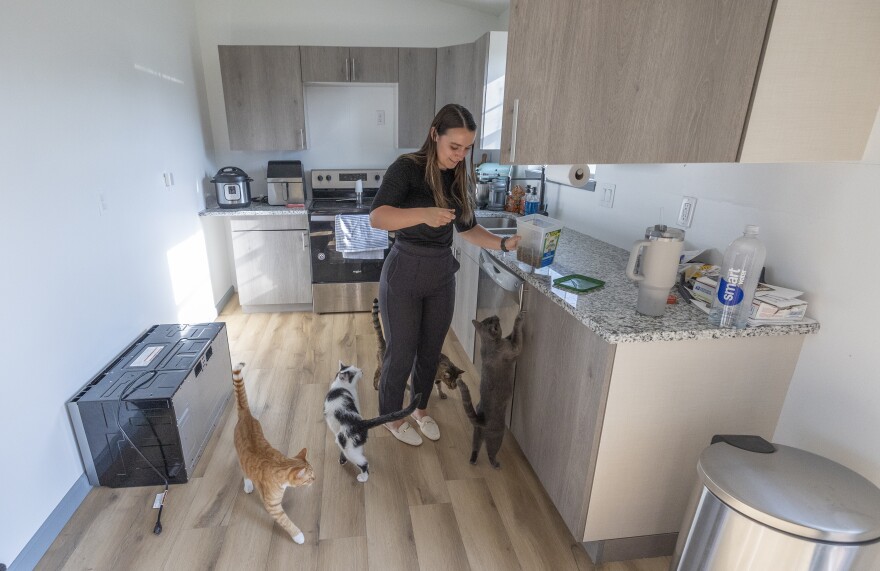 Natalie and Alex Beauchamp faced a six-week whirlwind in finding a house for themselves and their four cats.