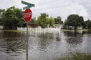 A stop sign on a flooded street