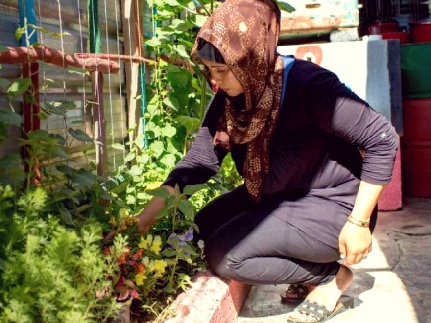 Ismail tends her plot.