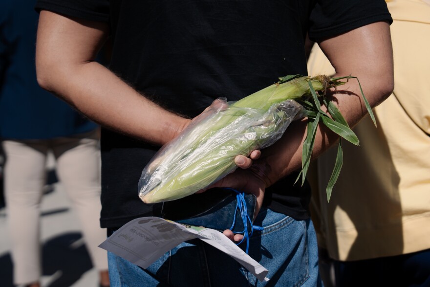 A resident waits to pay for an ear of corn during an Operation Food Search MetroMarket outside the People's Health Center on Thursday, Oct. 9, 2025, in St. Louis’ West End neighborhood.