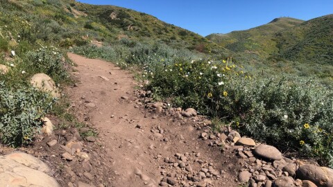 The Ventura Hills Nature Preserve includes eight miles of trails. The 1645 acre preserve is in the hills just north of Ventura High School.