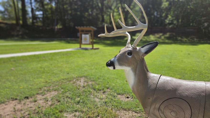 3D deer target at the Burns Park archery range