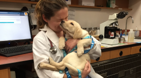 Dr. Emily Yavaraski, a veterinarian who provides in-home pet euthanasia, is seen with a pet dog.