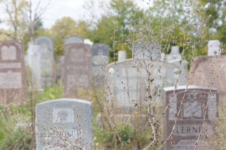 More overgrown cemetery