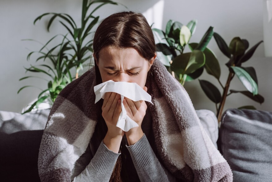 A sick and cold young woman sneezes into a tissue as she sits on a sofa wrapped in a blanket