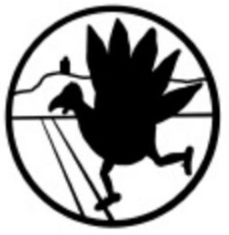 Turkey Trot Banner Logo.jpg