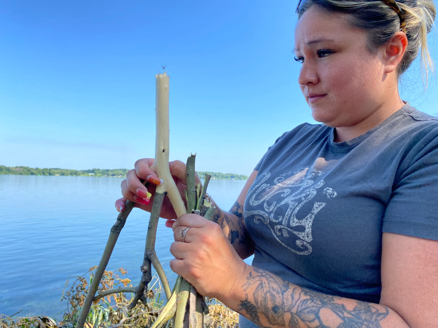 Kaniehtine LaFrance peels bark from a white willow branch.