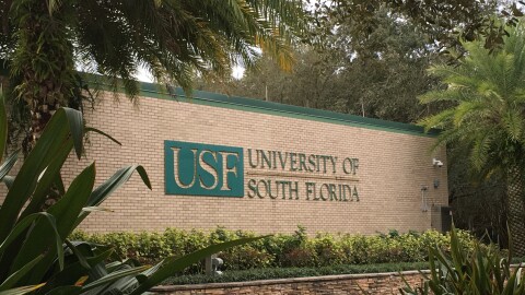 Green letters reading "USF" and "University of South Florida" on a brick wall. Palm trees and vegetation surround the frame.
