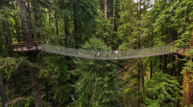 Visitors to the Sequoia Park Zoo in Eureka, California can experience the Redwood Sky Walk.