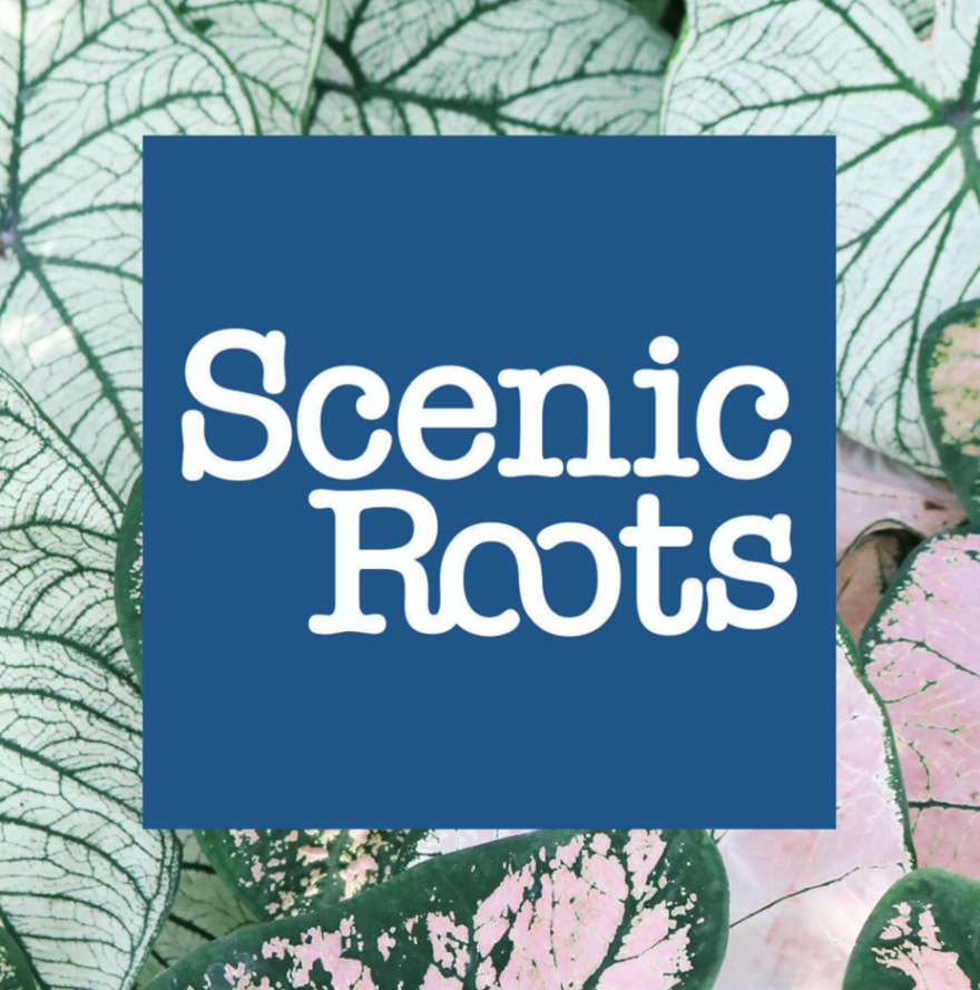 Scenic Roots - Mon 1/18/21