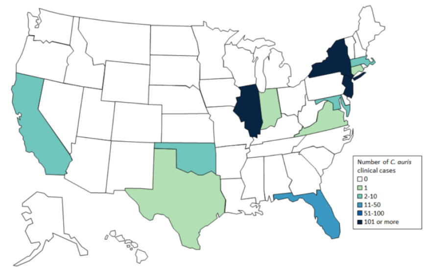 Candida-Auris-Map2-771x478.png