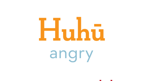 Even people who do not speak Hawaiian often use the word huhū. Huhū means angry, offended, indignant, mad, or scolding.