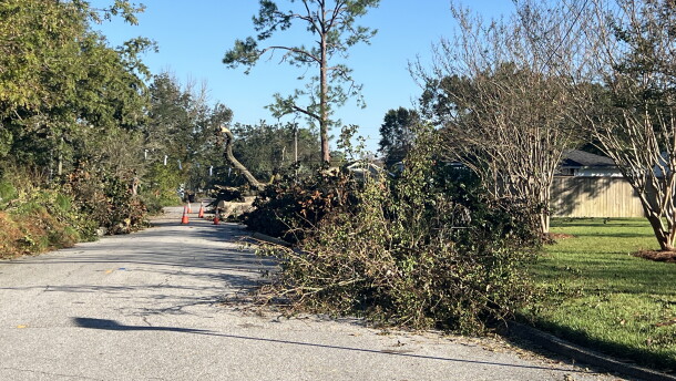 Piles of branches and cut tree limbs line a street in the East Hill neighborhood of Pensacola, following the storm. Traffic cones block traffic.