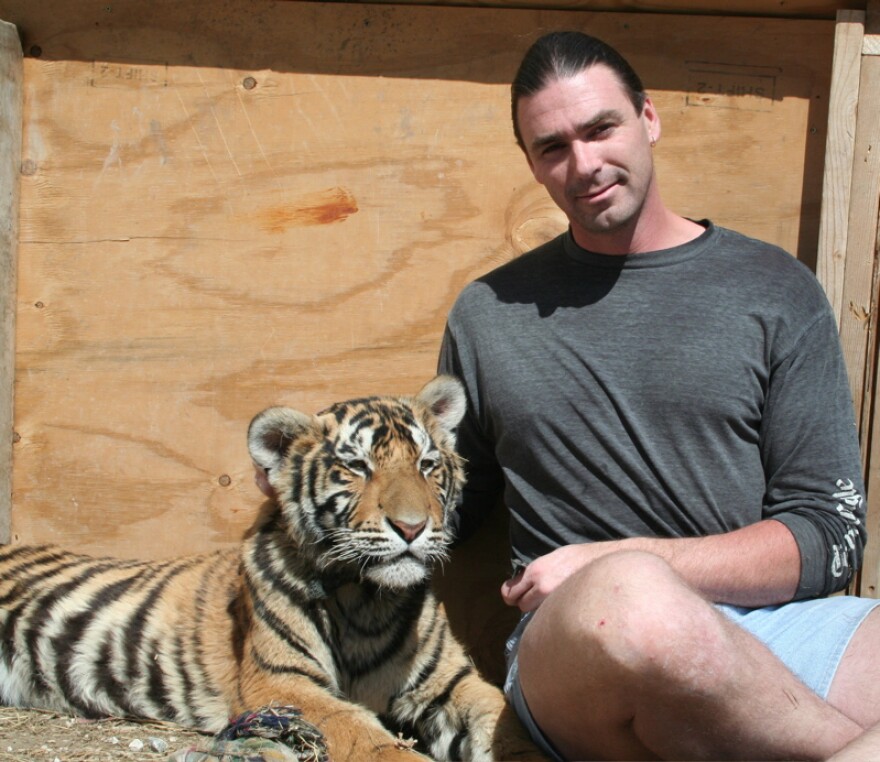 Steve Klein sits with Clarence the tiger at Cedar Cove. Klein is the board president, resident curator, and one of the only people allowed this close to the animals.