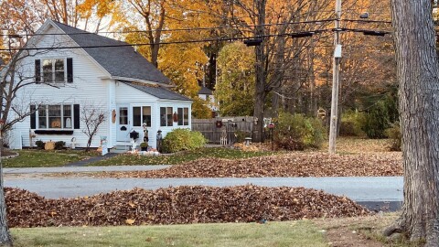 Piles of leaves on both sides of a street.