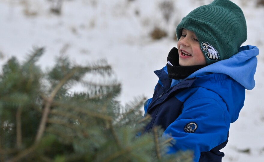 Jackson Tucker, 6, of Mountain Top, laughs as he tries to move the family's Christmas tree.