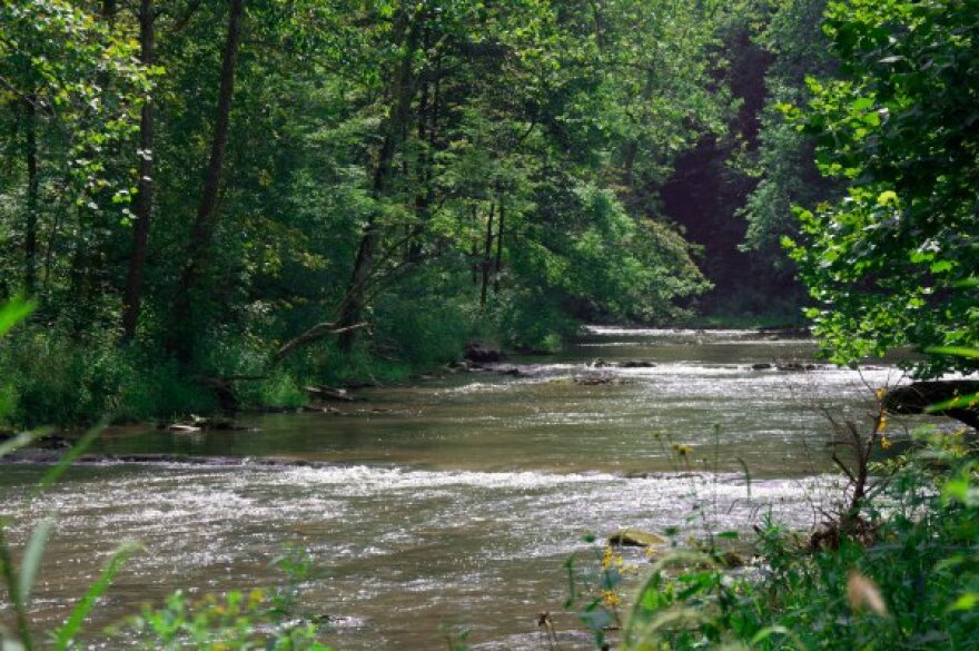clinch_river.jpg
