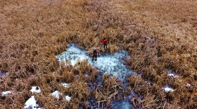The first trapping seasons of the fall opened on Oct. 17, 2026.