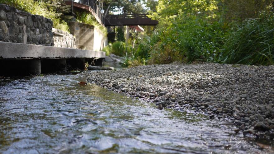 Stormwater runoff in San Luis Obispo, CA.