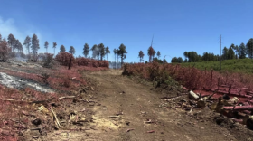Fire crews use dozers to build a containment line on the Ferris Fire. The lines remove vegetation and create breaks where firefighters can work to slow or stop the fire’s spread.